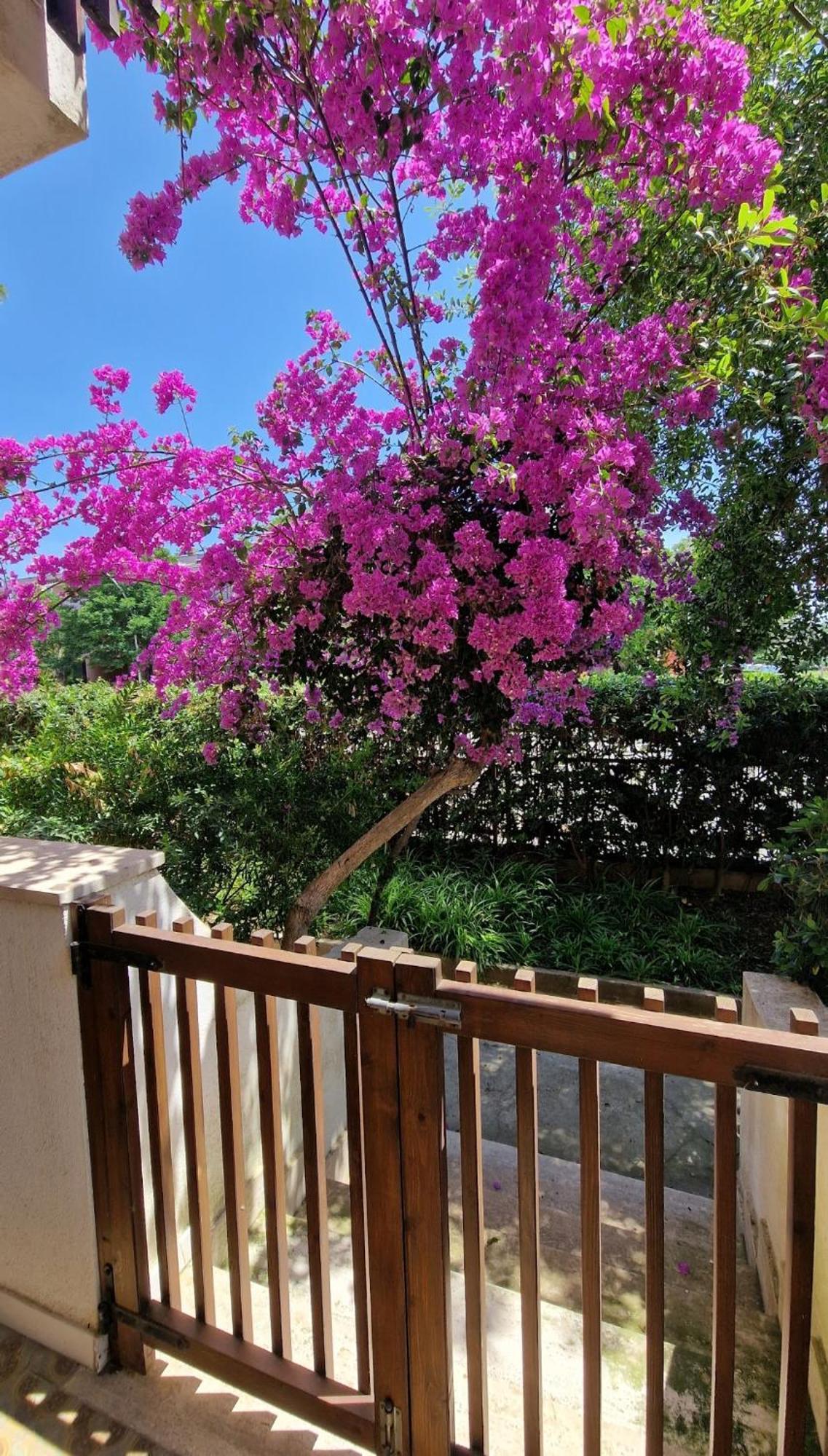 Europe Alguerhouse Apartment Екстериор снимка
